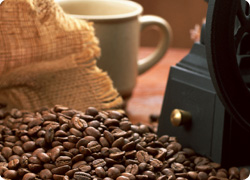 お好みにあった豆