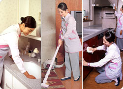 選べるお掃除定額サービス